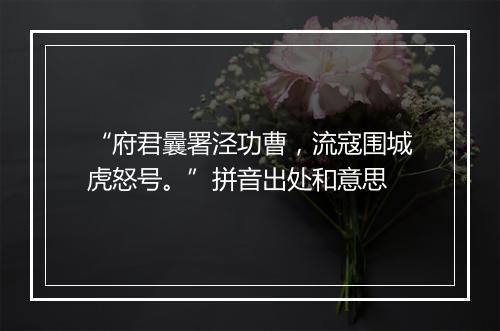 “府君曩署泾功曹，流寇围城虎怒号。”拼音出处和意思