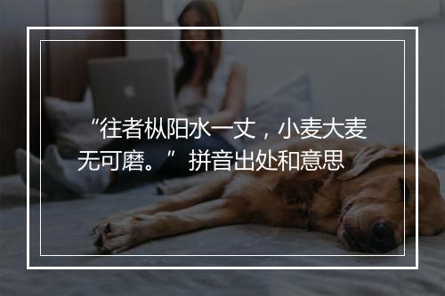 “往者枞阳水一丈，小麦大麦无可磨。”拼音出处和意思