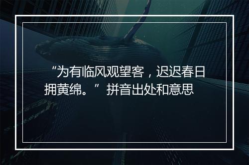 “为有临风观望客，迟迟春日拥黄绵。”拼音出处和意思