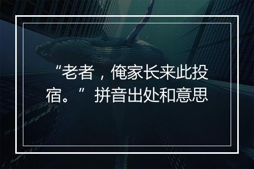 “老者，俺家长来此投宿。”拼音出处和意思