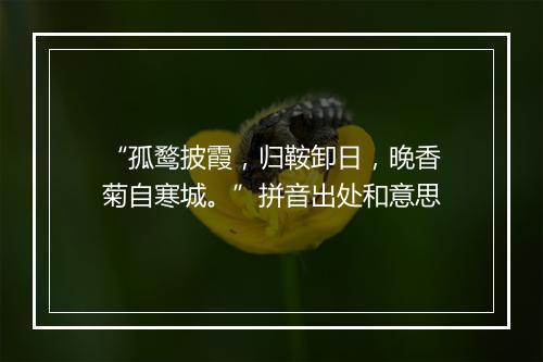 “孤鹜披霞，归鞍卸日，晚香菊自寒城。”拼音出处和意思