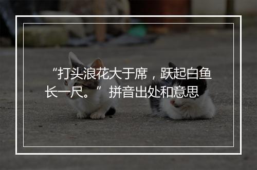 “打头浪花大于席，跃起白鱼长一尺。”拼音出处和意思