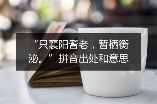 “只襄阳耆老，暂栖衡泌。”拼音出处和意思