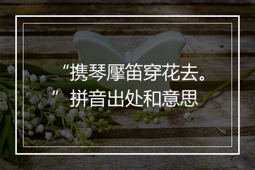 “携琴擪笛穿花去。”拼音出处和意思