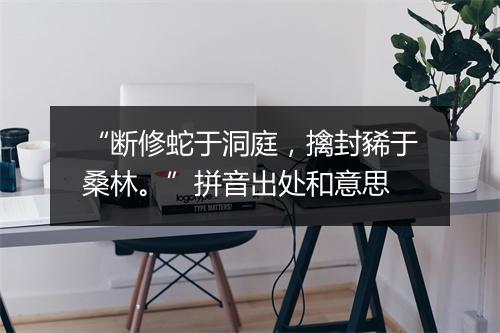 “断修蛇于洞庭，擒封豨于桑林。”拼音出处和意思