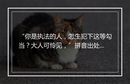 “你是执法的人，怎生犯下这等勾当？大人可怜见，”拼音出处和意思