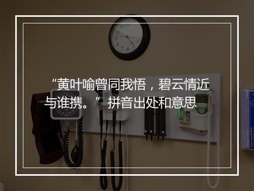 “黄叶喻曾同我悟，碧云情近与谁携。”拼音出处和意思