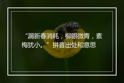 “漏新春消耗，柳眼微青，素梅犹小。”拼音出处和意思