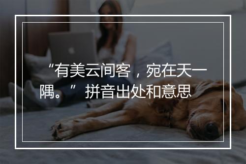 “有美云间客，宛在天一隅。”拼音出处和意思