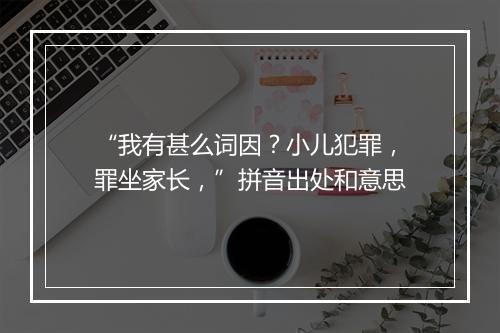 “我有甚么词因？小儿犯罪，罪坐家长，”拼音出处和意思