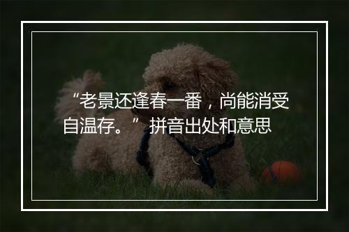 “老景还逢春一番，尚能消受自温存。”拼音出处和意思