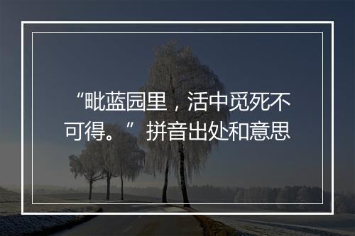 “毗蓝园里，活中觅死不可得。”拼音出处和意思