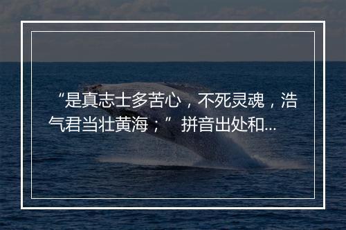 “是真志士多苦心，不死灵魂，浩气君当壮黄海；”拼音出处和意思