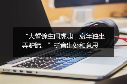 “大誓馀生闻虎啸，衰年独坐弄驴蹄。”拼音出处和意思