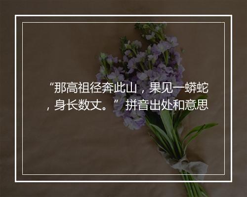 “那高祖径奔此山，果见一蟒蛇，身长数丈。”拼音出处和意思