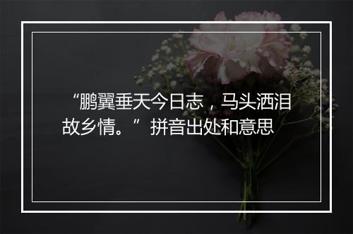 “鹏翼垂天今日志，马头洒泪故乡情。”拼音出处和意思