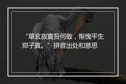 “草玄寂寞吾何敢，惭愧平生郑子真。”拼音出处和意思