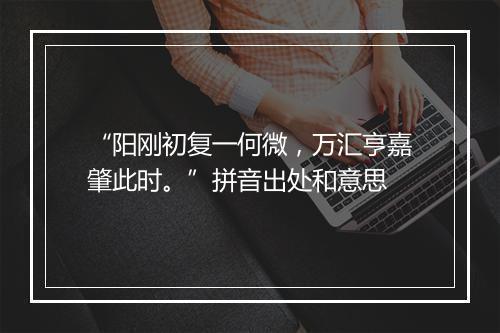 “阳刚初复一何微，万汇亨嘉肇此时。”拼音出处和意思