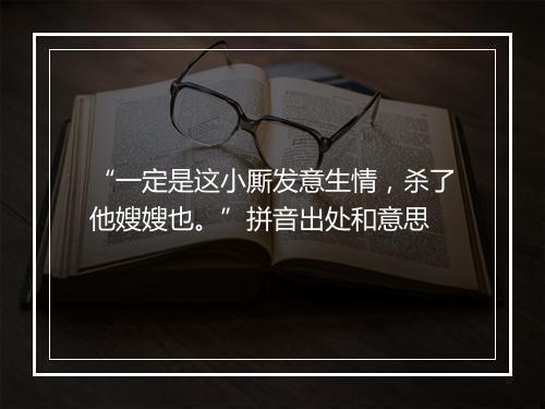 “一定是这小厮发意生情，杀了他嫂嫂也。”拼音出处和意思