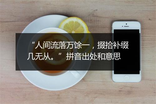 “人间流落万馀一，掇拾补缀几无从。”拼音出处和意思