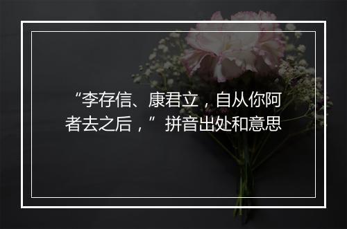 “李存信、康君立，自从你阿者去之后，”拼音出处和意思