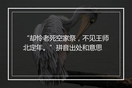 “却怜老死空家祭，不见王师北定年。”拼音出处和意思