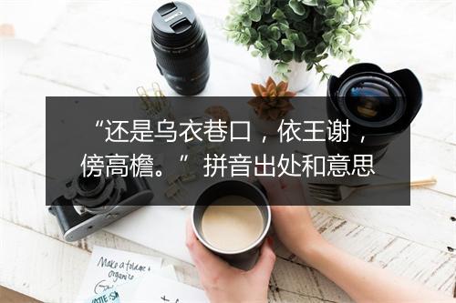 “还是乌衣巷口，依王谢，傍高檐。”拼音出处和意思