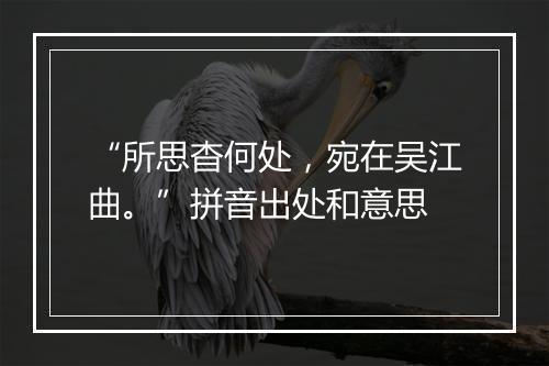 “所思杳何处，宛在吴江曲。”拼音出处和意思