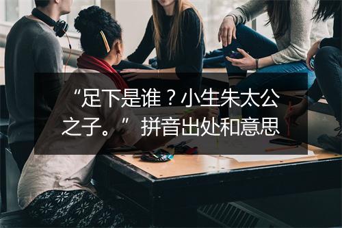 “足下是谁？小生朱太公之子。”拼音出处和意思