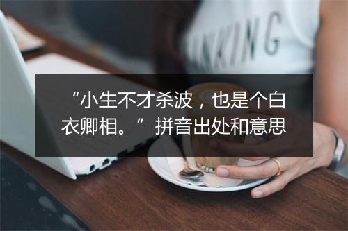 “小生不才杀波，也是个白衣卿相。”拼音出处和意思