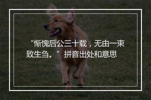 “惭愧后公三十载，无由一束致生刍。”拼音出处和意思