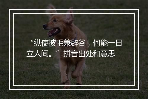 “纵使披毛兼辟谷，何能一日立人间。”拼音出处和意思