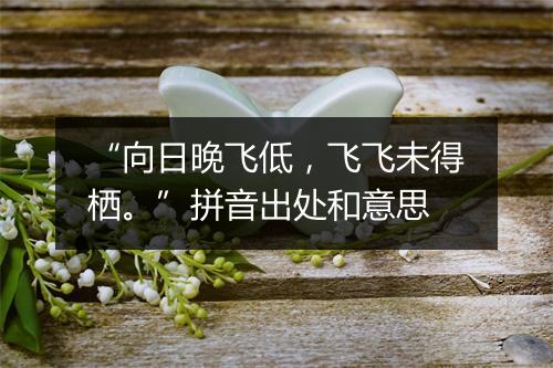 “向日晚飞低，飞飞未得栖。”拼音出处和意思