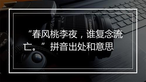 “春风桃李夜，谁复念流亡。”拼音出处和意思