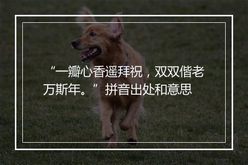 “一瓣心香遥拜祝，双双偕老万斯年。”拼音出处和意思