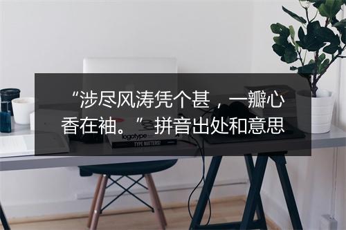 “涉尽风涛凭个甚，一瓣心香在袖。”拼音出处和意思