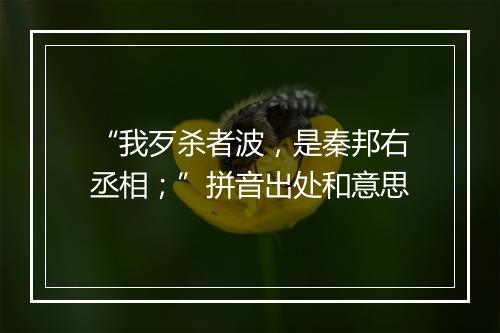 “我歹杀者波，是秦邦右丞相；”拼音出处和意思