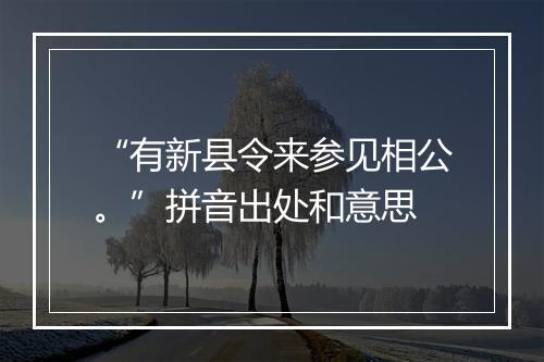 “有新县令来参见相公。”拼音出处和意思