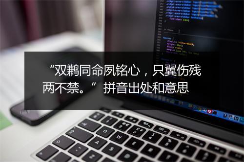 “双鹣同命夙铭心，只翼伤残两不禁。”拼音出处和意思