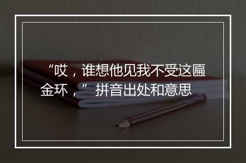 “哎，谁想他见我不受这匾金环，”拼音出处和意思