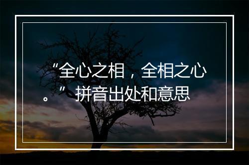 “全心之相，全相之心。”拼音出处和意思