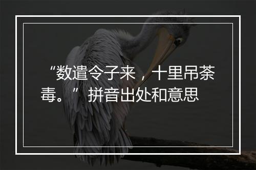 “数遣令子来，十里吊荼毒。”拼音出处和意思