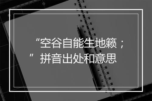 “空谷自能生地籁；”拼音出处和意思