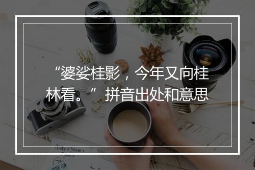 “婆娑桂影，今年又向桂林看。”拼音出处和意思