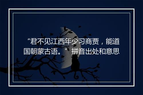 “君不见江西年少习商贾，能道国朝蒙古语。”拼音出处和意思