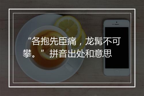 “各抱先臣痛，龙髯不可攀。”拼音出处和意思