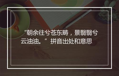 “朝余往兮苍东畴，景翳翳兮云油油。”拼音出处和意思