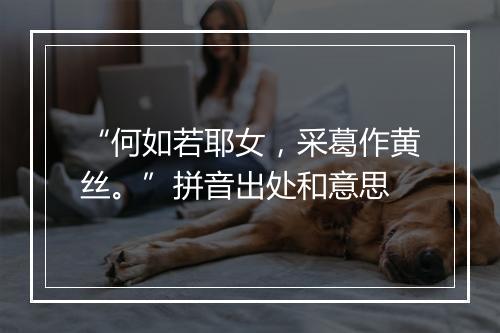 “何如若耶女，采葛作黄丝。”拼音出处和意思