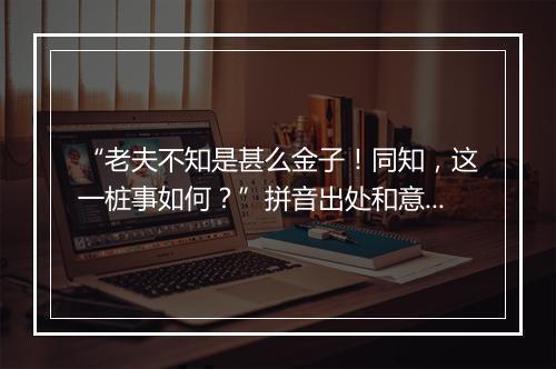 “老夫不知是甚么金子！同知，这一桩事如何？”拼音出处和意思