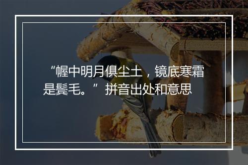 “幄中明月俱尘土，镜底寒霜是鬓毛。”拼音出处和意思